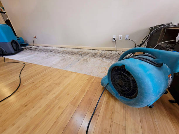 Professional Water Damage Repair technician working in Valley View, PA